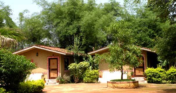 Walk In Woods Resort, Bandhavgarh 5